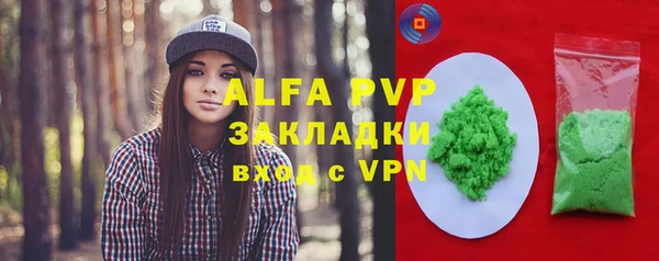 шишки Мегион