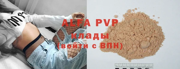 шишки Мегион