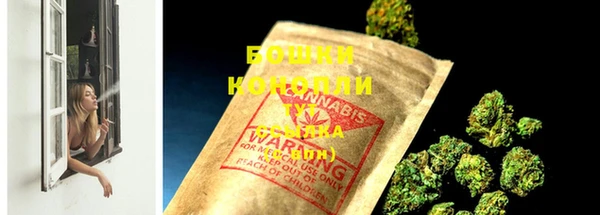 шишки Мегион