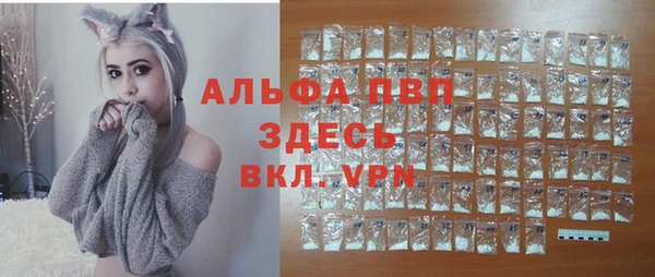 шишки Мегион