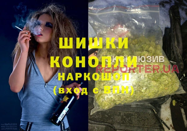 шишки Мегион