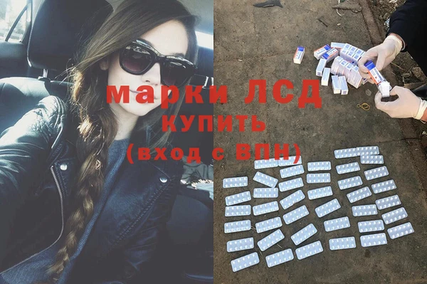 шишки Мегион