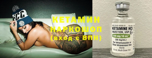 шишки Мегион